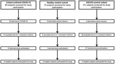 Evaluation of Endothelial Dysfunction and Inflammatory Vasculopathy After SARS-CoV-2 Infection—A Cross-Sectional Study